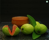 Guava Pulp & Concentrate
